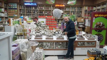 Nevşehir’de çerezlik kabak çekirdeği hasadı yapıldı